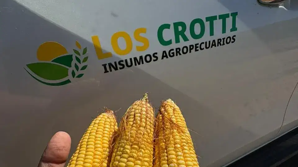 Los Crotti apuesta a combinar genética y manejo para maximizar rendimientos.