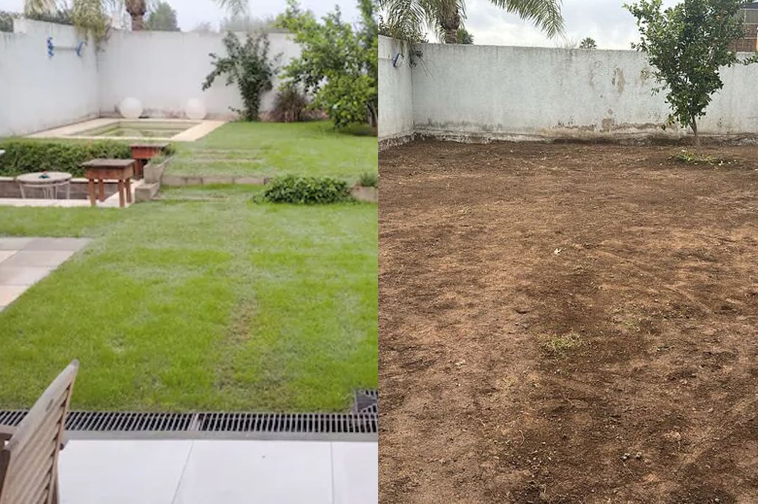 Hizo mejoras en la casa alquilada y, como el dueño no las reconoció, tapó la pileta y se llevó hasta el limonero