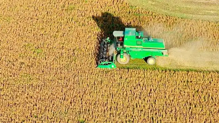 La soja al borde de los US$ 590 en Chicago, el nivel más alto en siete años