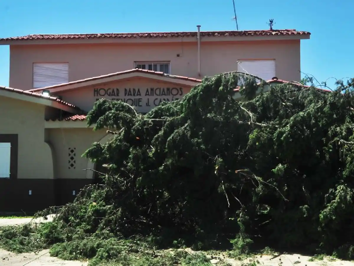 Hogar de Ancianos: en los próximos días removerán árboles caídos tras el temporal
