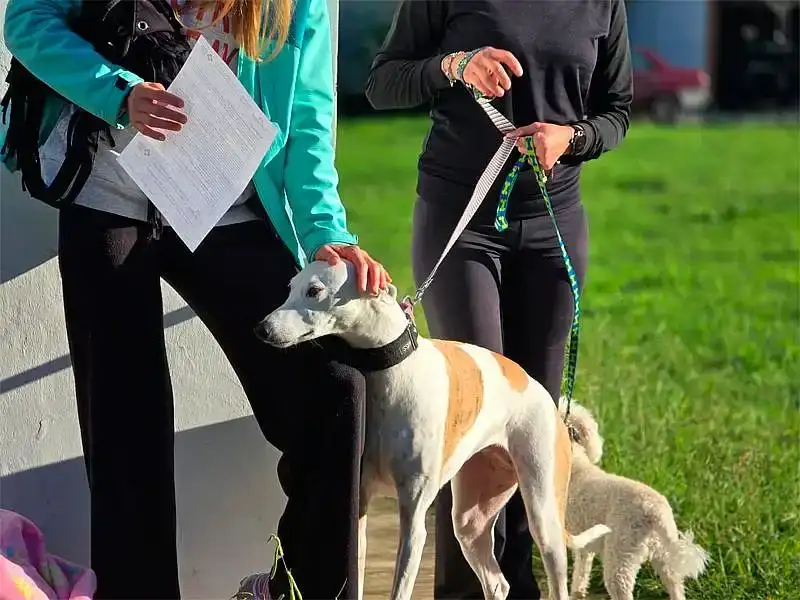 El quirófano móvil atenderá en Movediza y el barrio San Nicolás durante la primera semana de agosto.