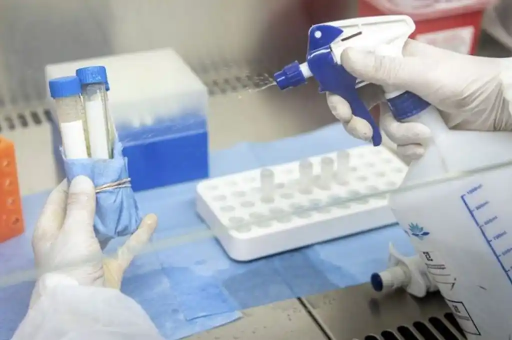 Estiman que hasta fines de octubre la provincia vivirá el peor momento