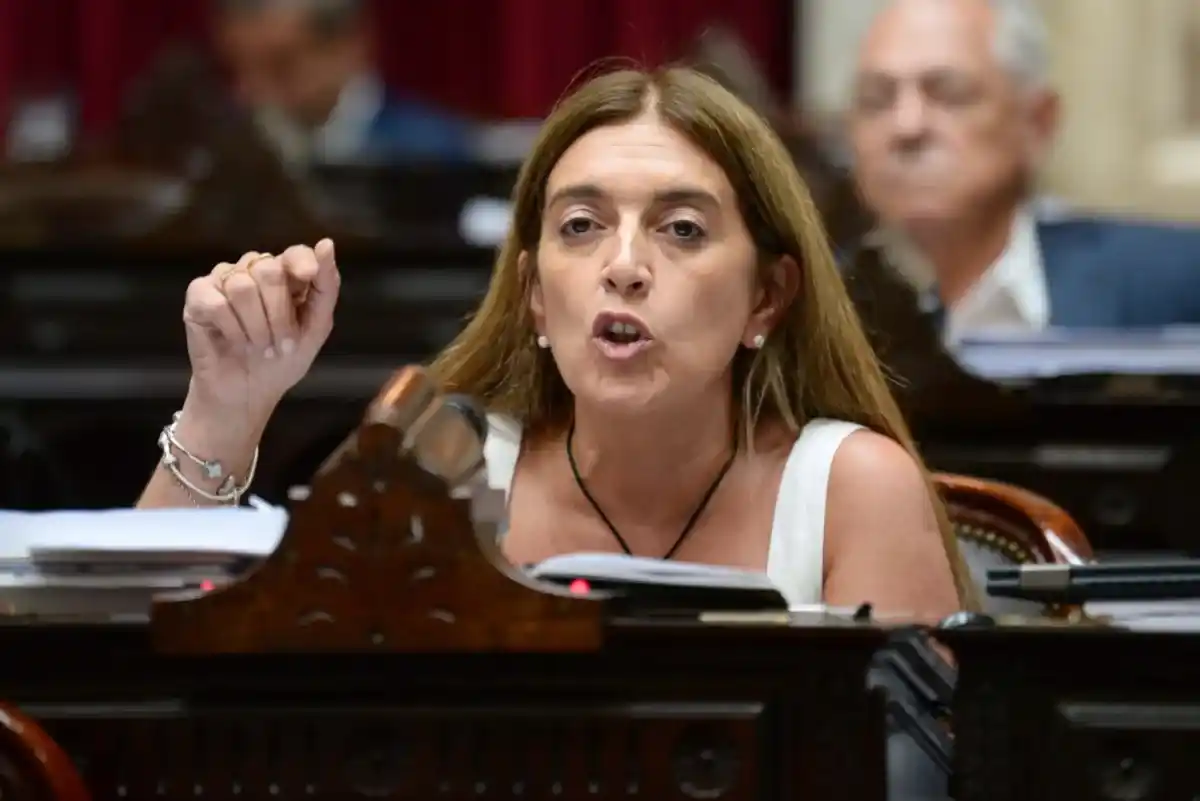 "No les importa dar explicaciones", denunció la juninense Tavela sobre el faltazo de Karina Milei, Caputo y Lugones