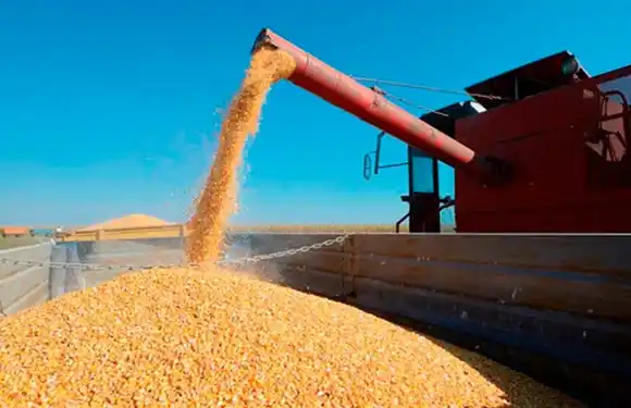 La provincia calificó como "un error" el que no se mantengan las rebajas de retenciones al sector agropecuario