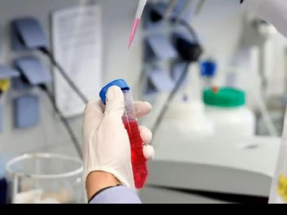 La OMS destaca resultados de las vacunas de Moderna y Pfizer