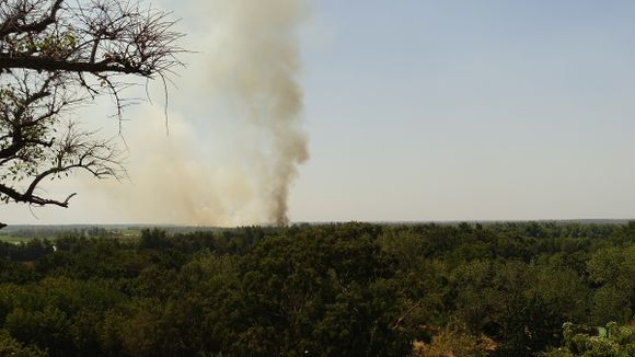 Incendios en la zona de islas: registran focos en la entrada del canal Don Pablo