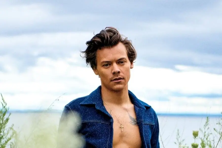 Love On Tour: Harry Styles confirmó una segunda fecha en Argentina en el Estadio River Plate