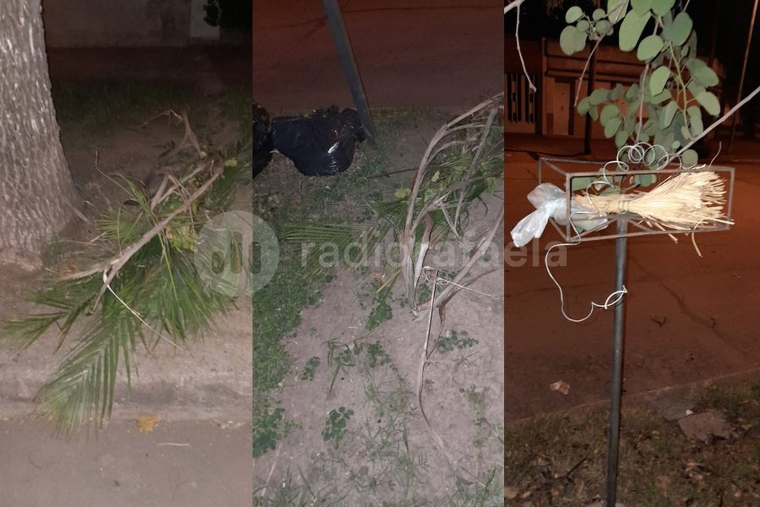 Denunciaron a vecinos “sin educación” que fueron vistos arrojando basura en una casa deshabitada