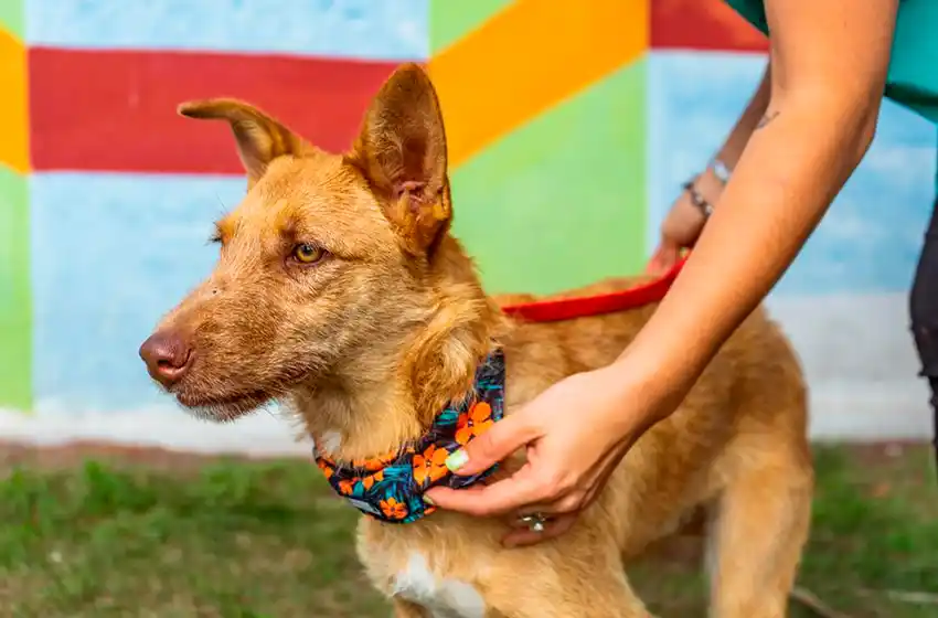 Quirófanos móviles: nuevas ubicaciones