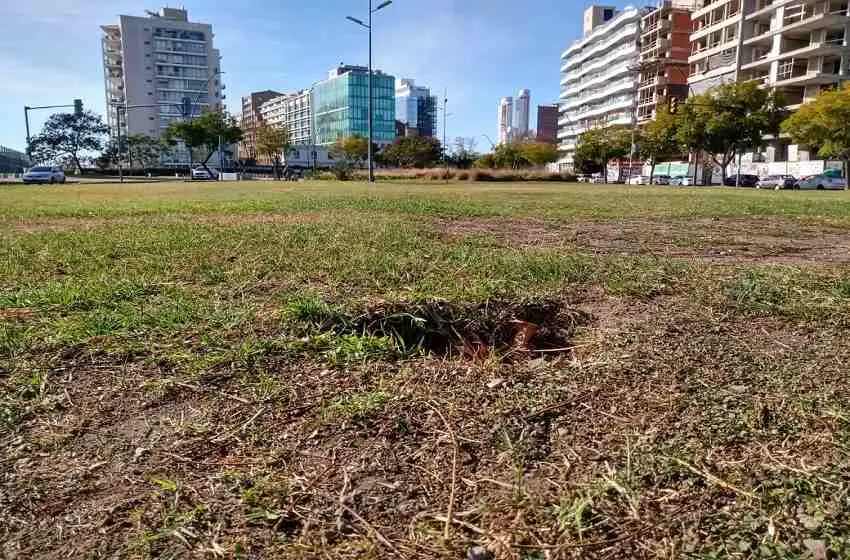 Un giorno tristissimo: sacaron arcos de fútbol de plazas y parques rosarinos para evitar partidos