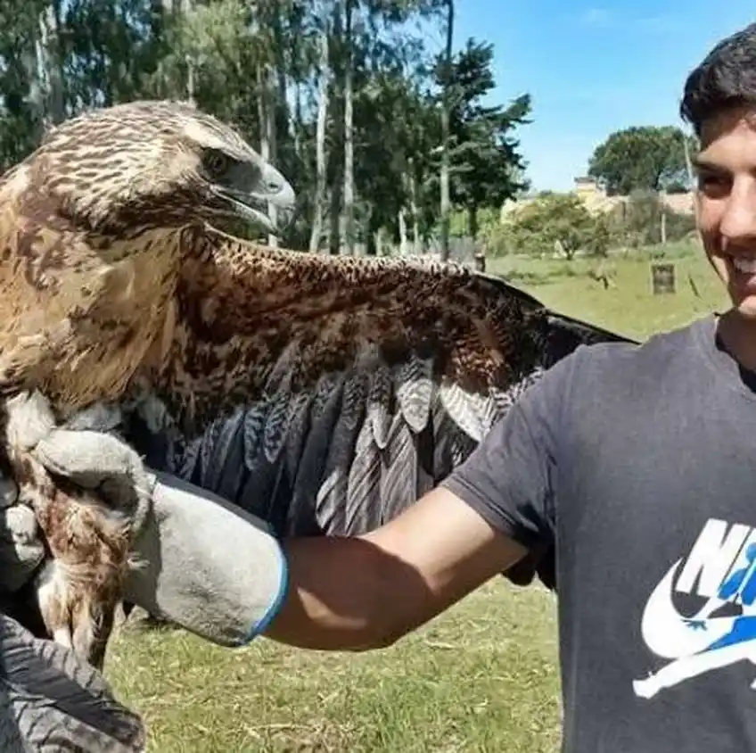 Suspendieron las tareas de rescate a animales silvestres