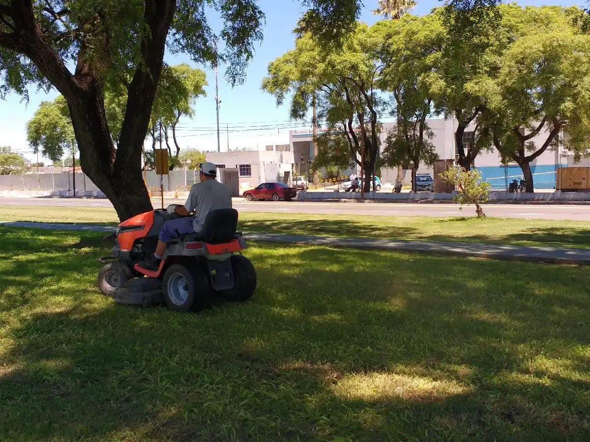 Mantienen espacios verdes y arreglan calles