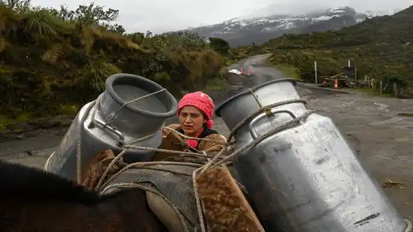 Evacuar o salvar sus animales, el dilema de campesinos junto a un volcán en Colombia