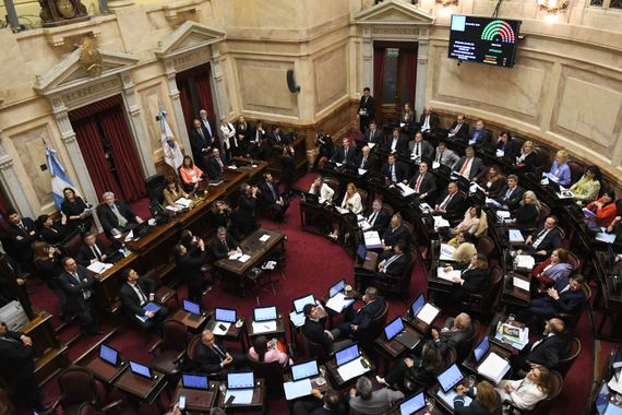 El Senado rechazó el DNU