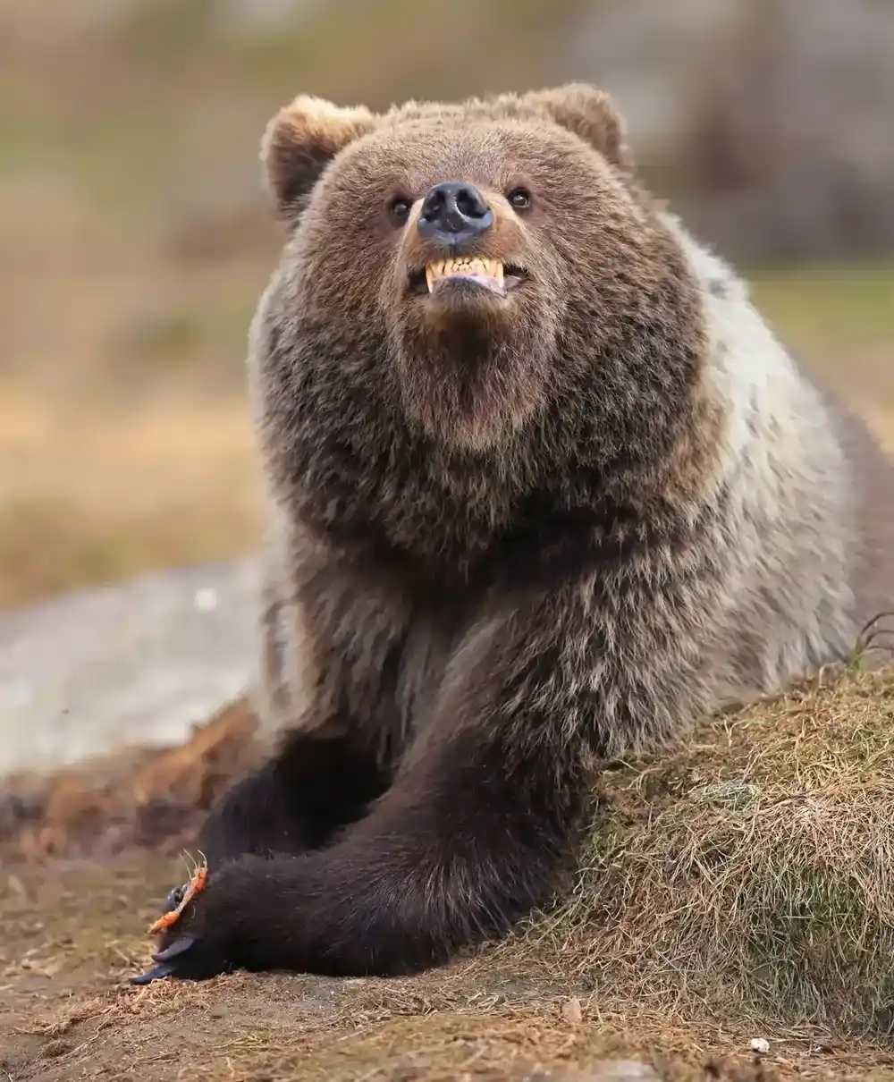 premio fotos nikon - 4