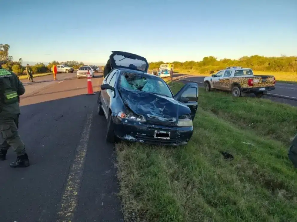 Autovía 14: un auto atropelló a un caballo y un acompañante sufrió politraumatismos