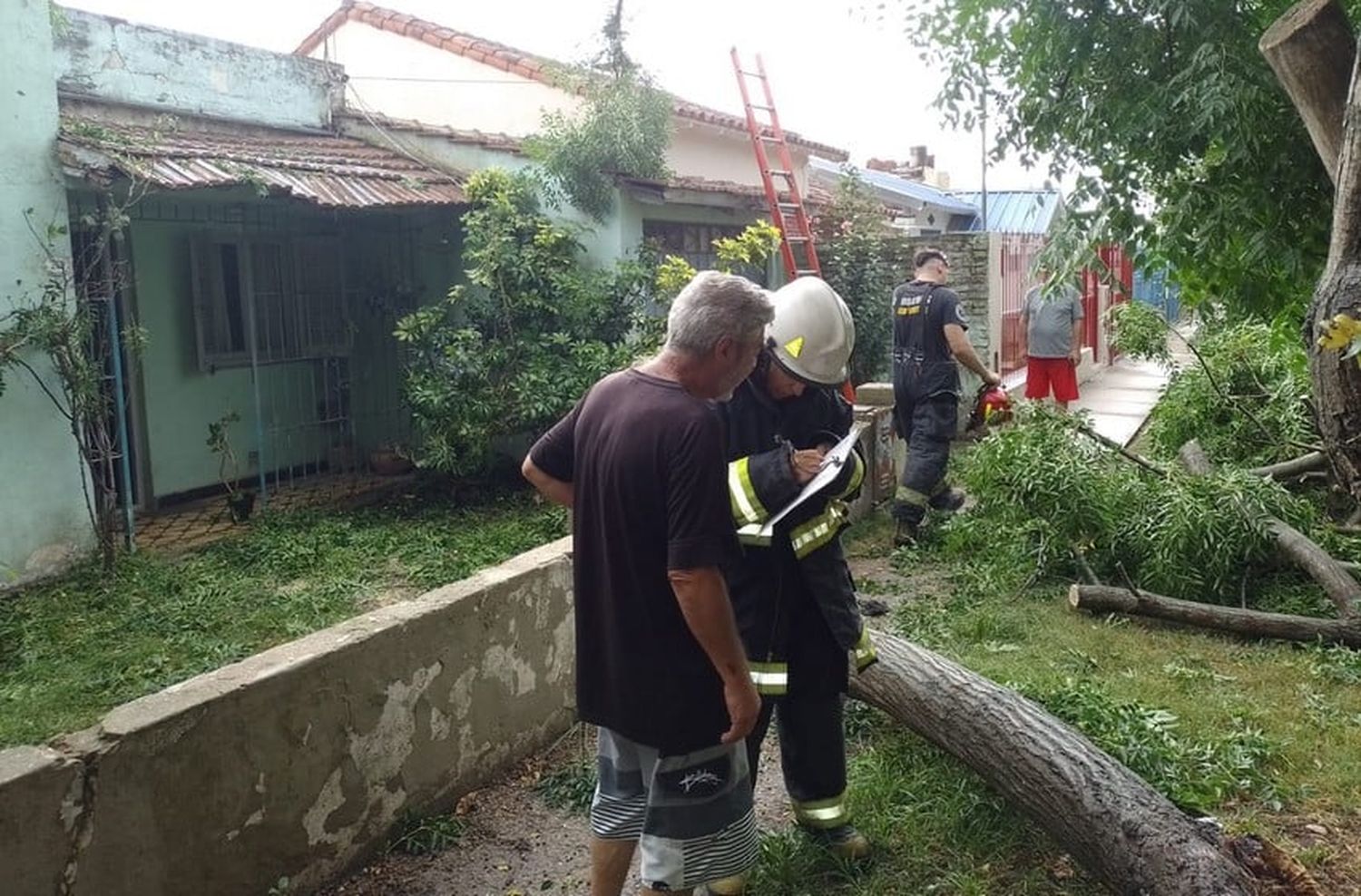 Llegó febrero y la lluvia: calles anegadas y arboles caídos