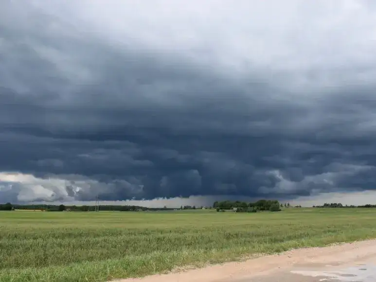 tormenta