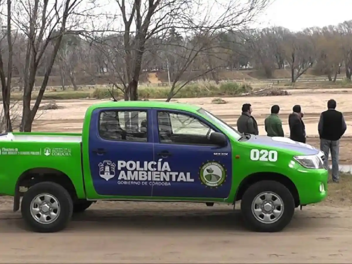 Policía Ambiental rescató 24 tortugas de la tenencia ilegal