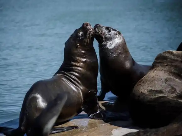 Con premios en efectivo, el Museo de Ciencia Naturales realiza el primer concurso de fotografía