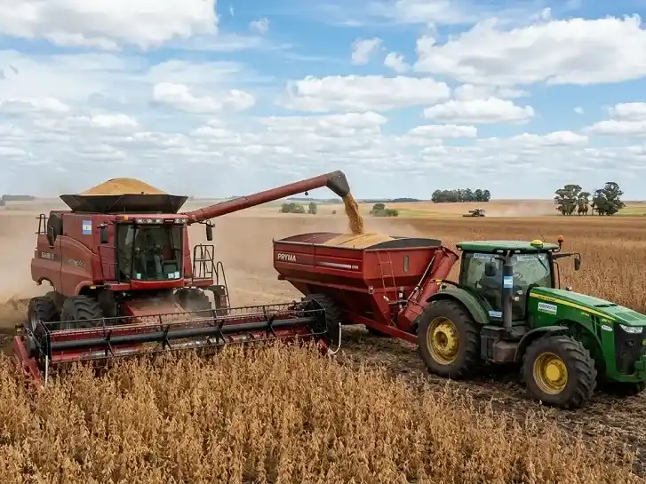 Las intensas lluvias frenaron el avance de la cosecha argentina