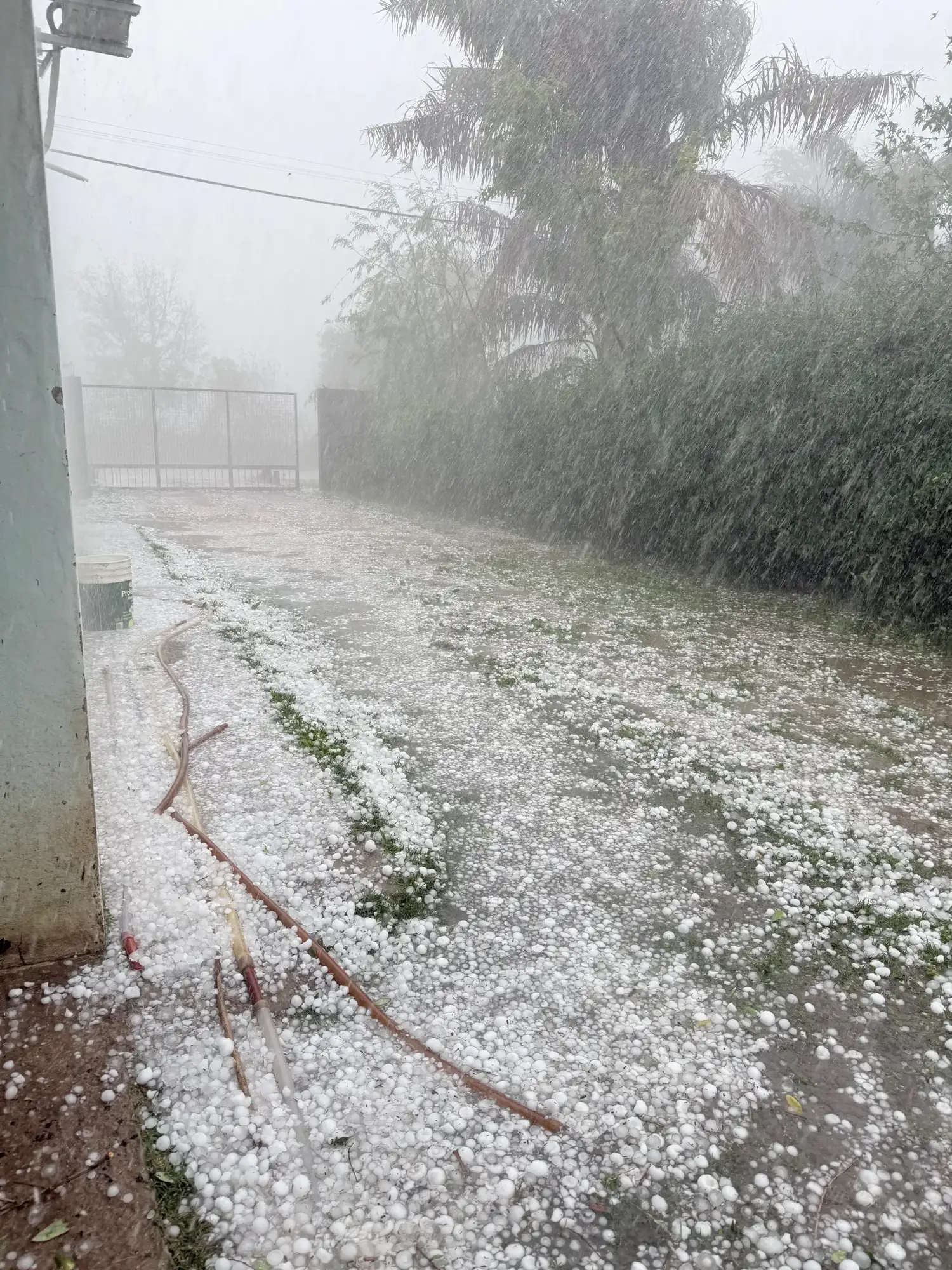 El granizo cubrió las calles de blanco: impresionantes imágenes del temporal en Ataliva - 3