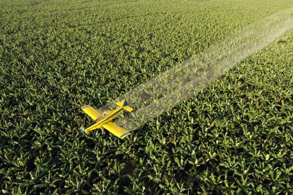 Defensoría bonaerense pidió avanzar con una ley para regular las fumigaciones en la Provincia