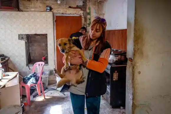 Recuperaron ocho perros que estaban en una vivienda ocupada ilegalmente