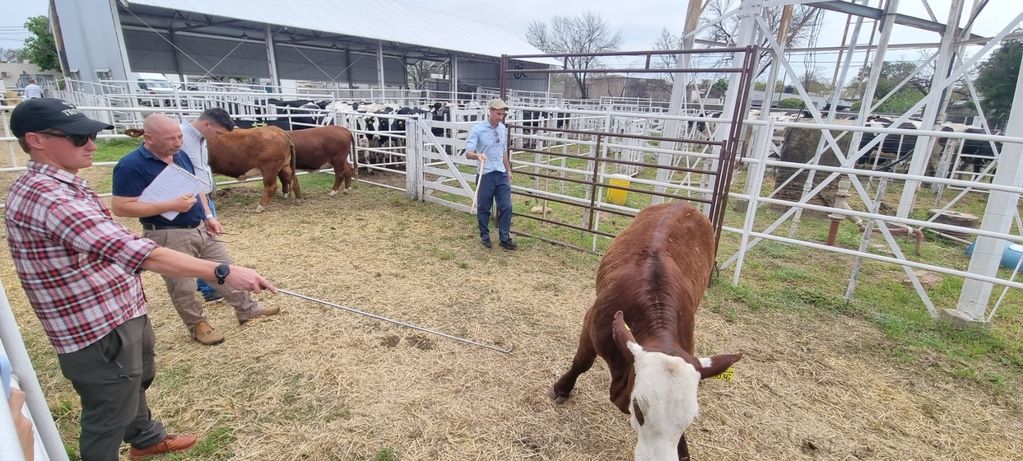 Exporural Rafaela 2025