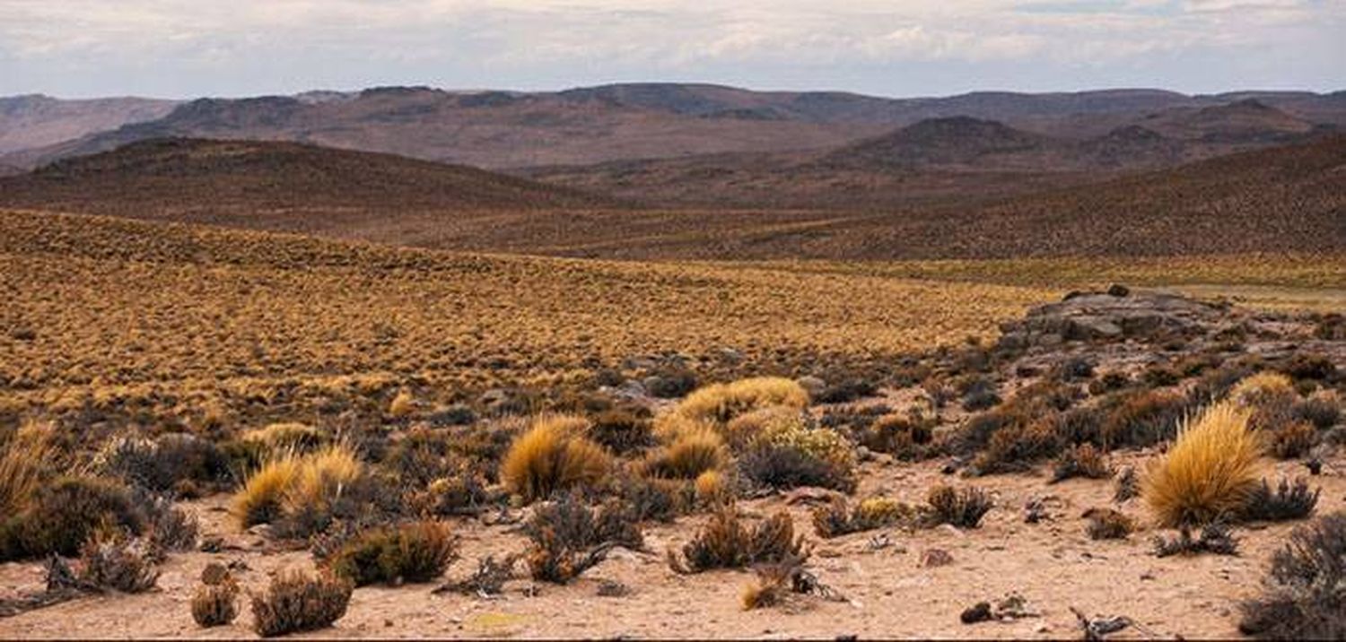 La estepa, el �Sfuturo turístico de la Patagonia⬝