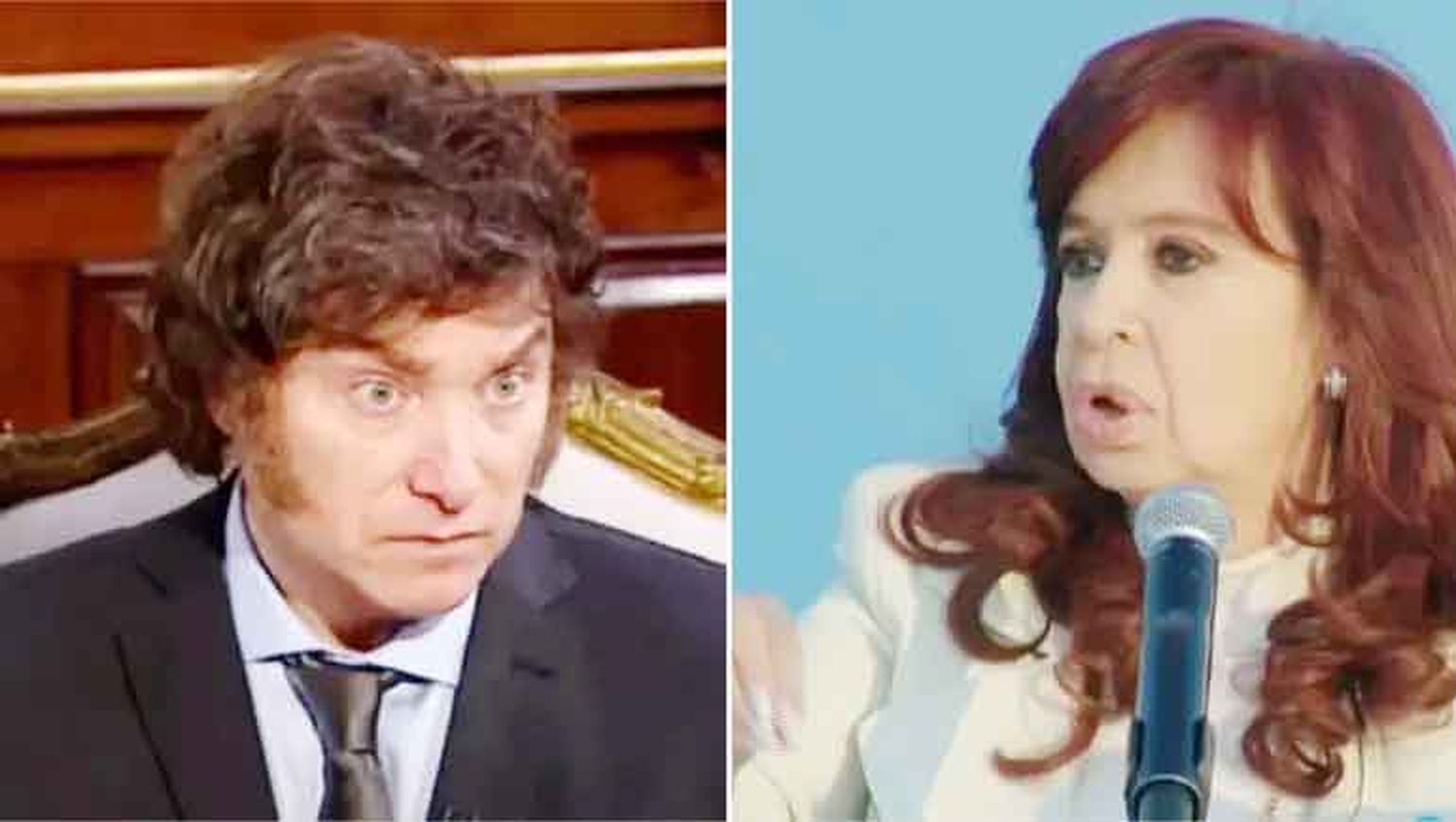 El Gobierno apoyará el proyecto de Ficha Limpia tras la condena de Cristina Kirchner