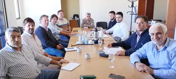 Energía: Reunión del consejo consultivo del EPRE