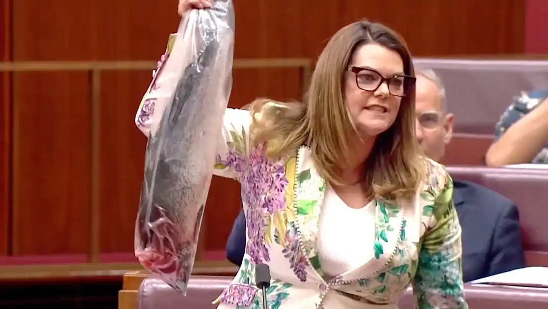 Polémica parlamentaria