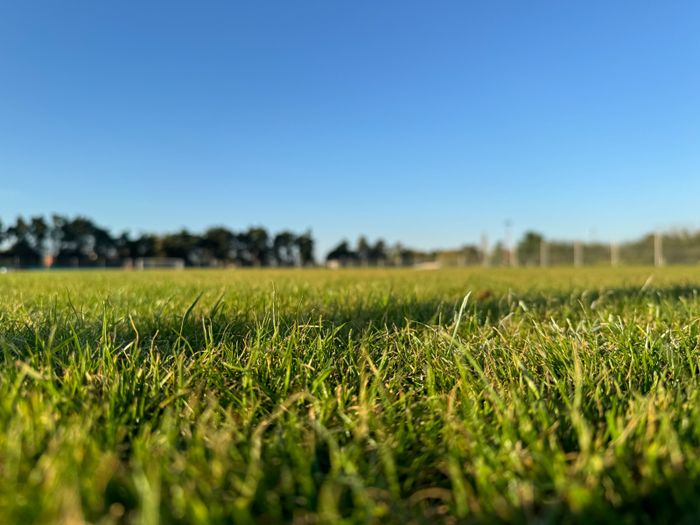 Nueva cancha Mitre - 6
