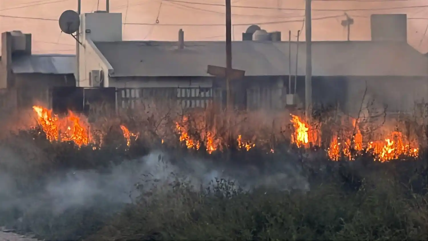 Incendio de pastizales alarmó a vecinos en un descampado
