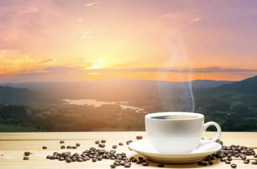 Carnitina y Cafeína: quemadores naturales