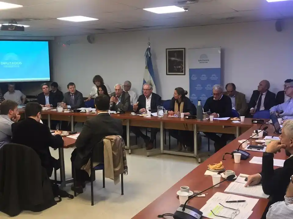 Productores avícolas reclaman falta de trasparencia en la cadena de los pollos y la necesidad de regular la actividad