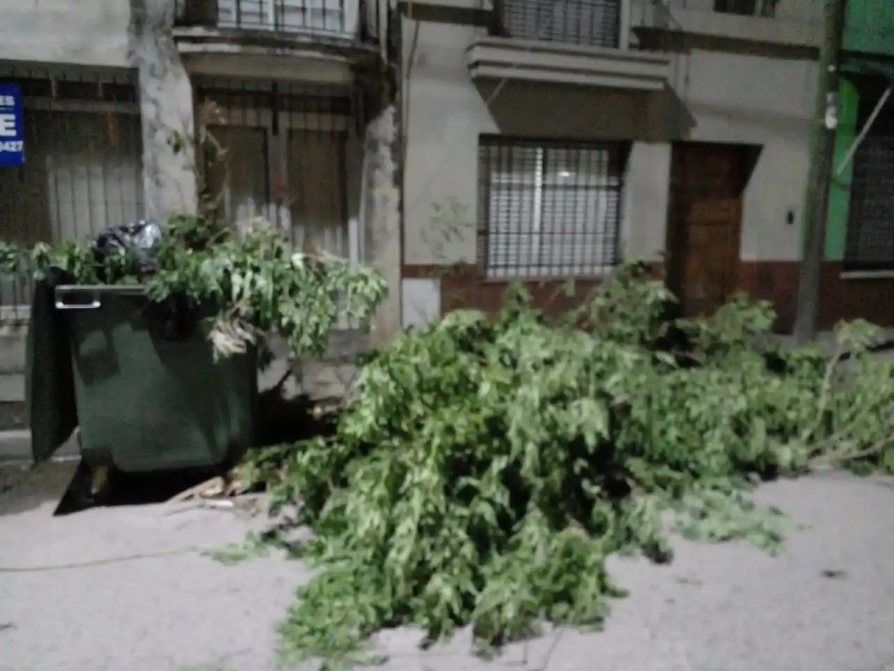 Berisso pide a la ciudadanía conciencia ambiental