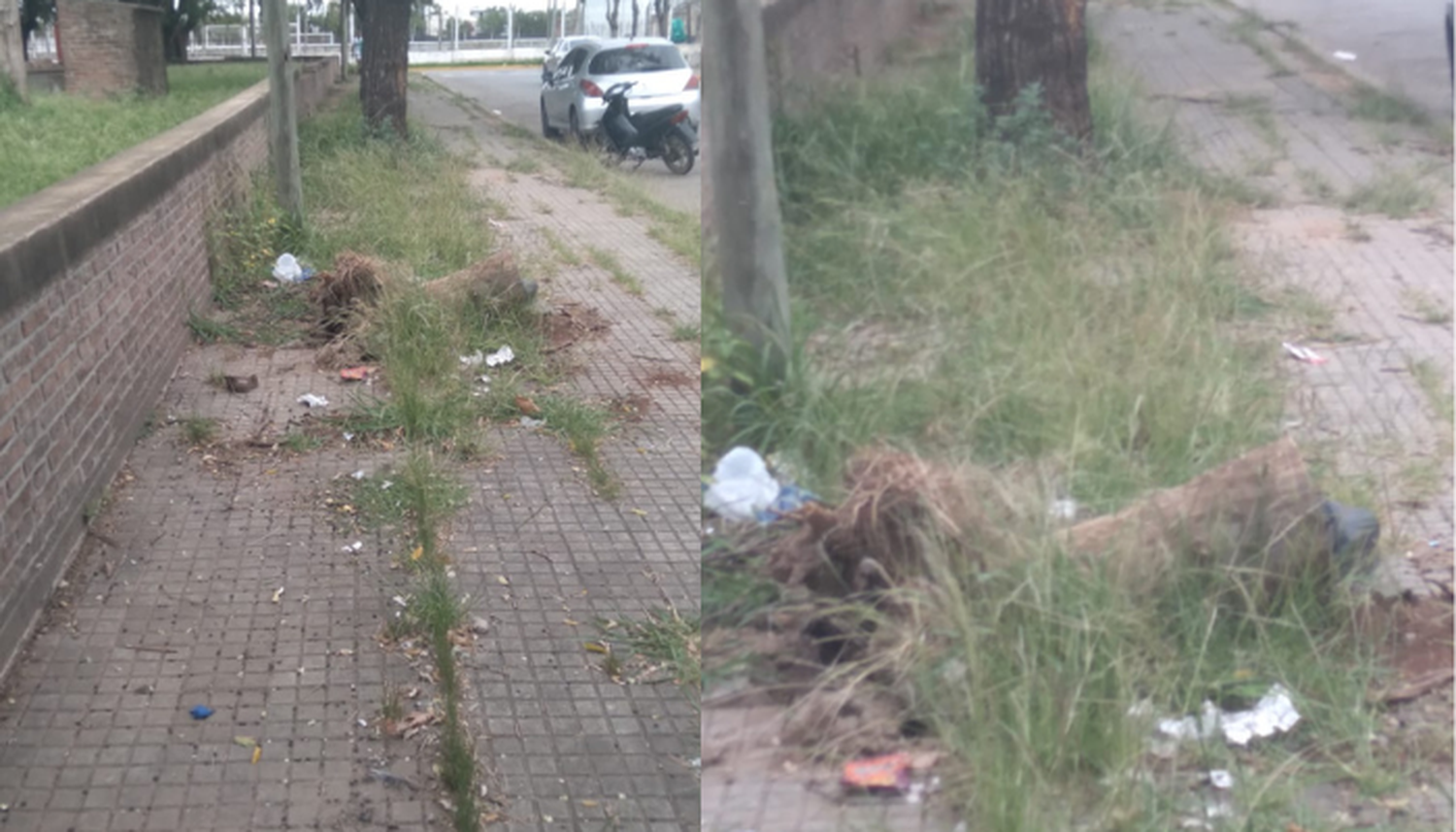"La peor vereda"