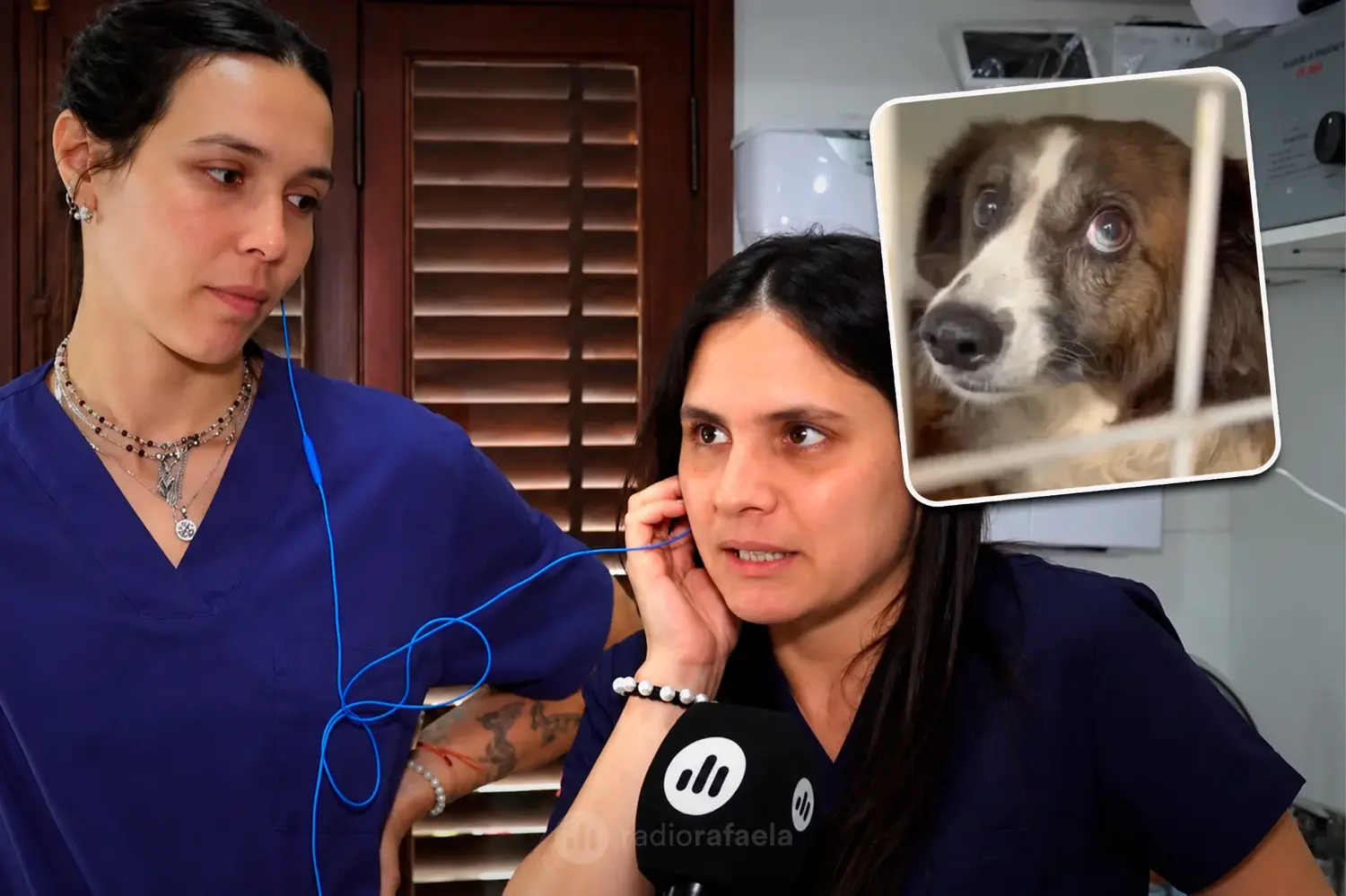 Maltrato animal en Rafaela: del abandono a la crueldad, ¿cómo protegemos a nuestras mascotas? | Luciana Ferrero y Soledad Aguirre, médicas veterinarias