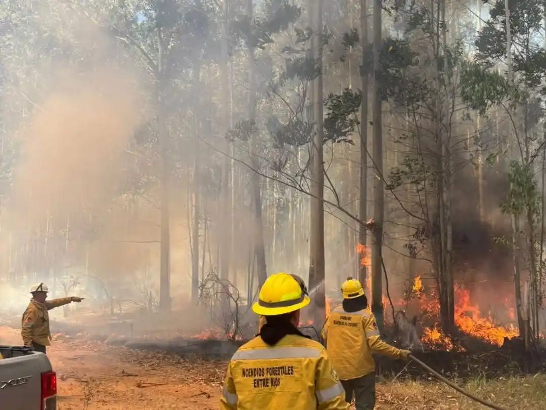 Bomberos Voluntarios de Concordia: más de 360 incendios forestales y 5.483 hectáreas arrasadas en poco más de un año