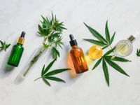 Tandil será sede de la Jornada Provincial de Cannabis Terapéutico