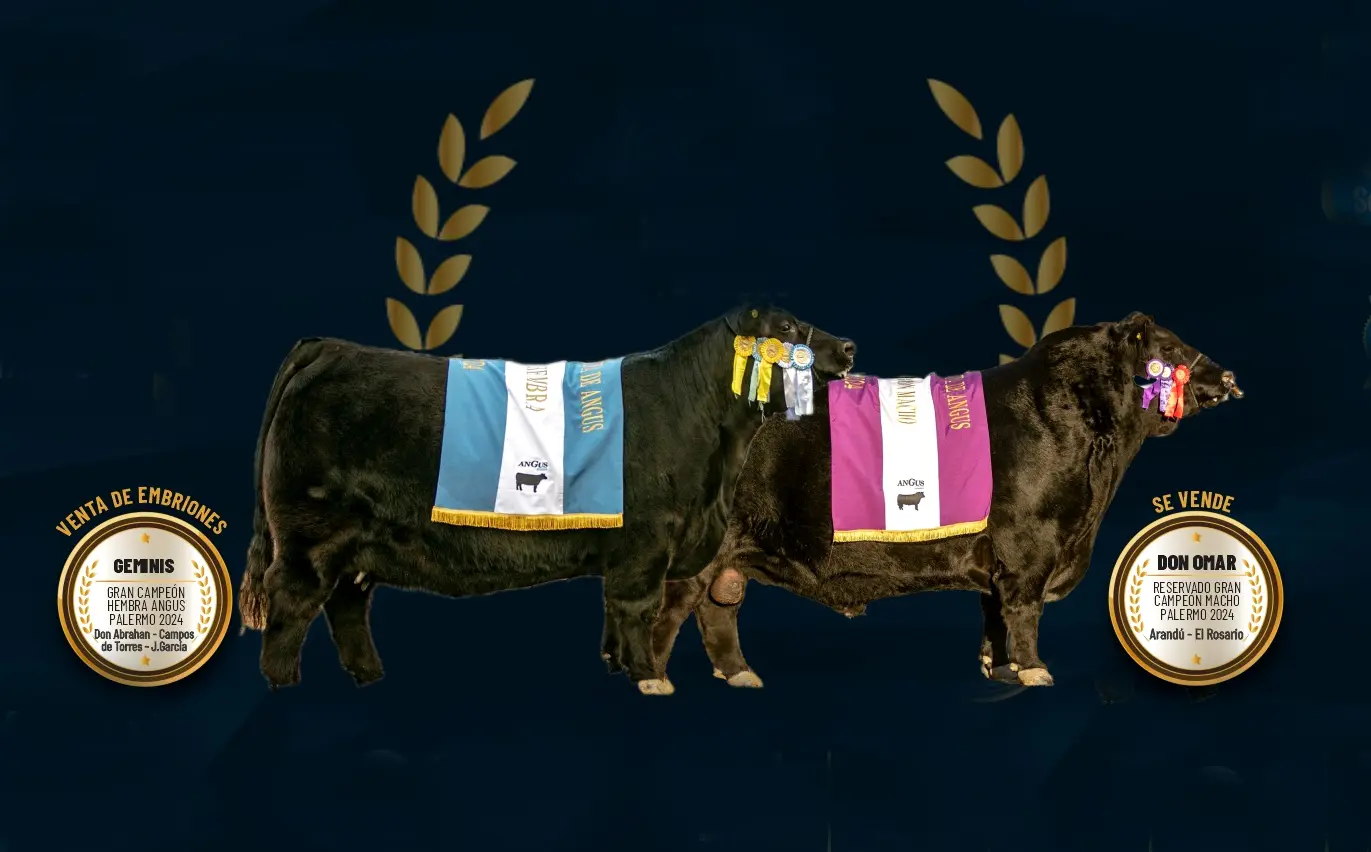 Banderazo de Rústicos en Tandil