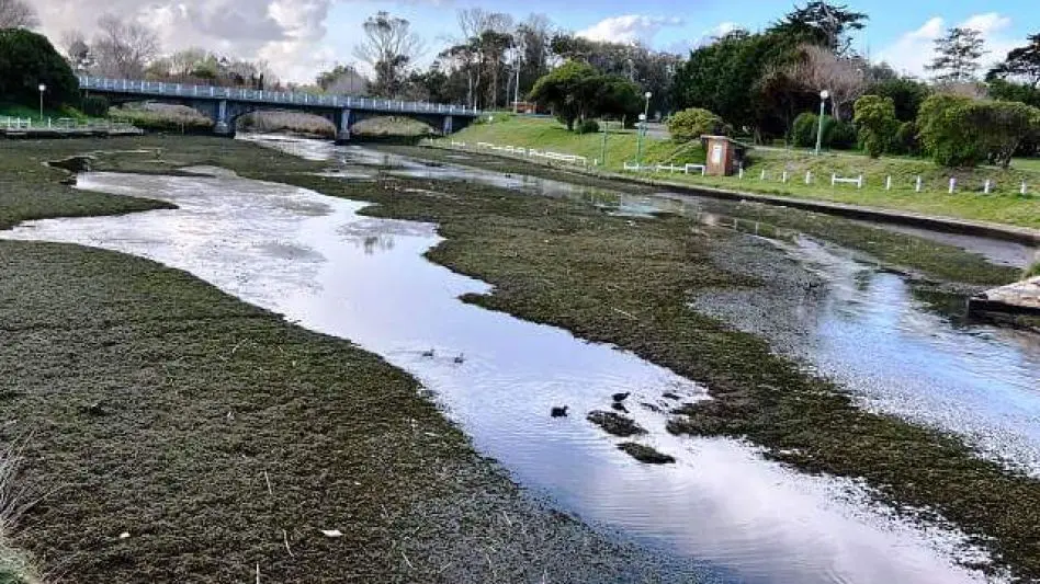 "Creemos que en Abril o Mayo vamos a terminar el saneamiento del Lago"