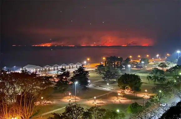 Quemas en las islas: el gobierno de Entre Ríos desmintió los dichos de Javkin