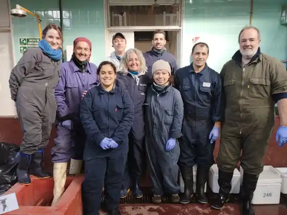 Premio BioVet 2025: reconocen a un proyecto marplatense que integra biotecnología vegetal y sanidad animal