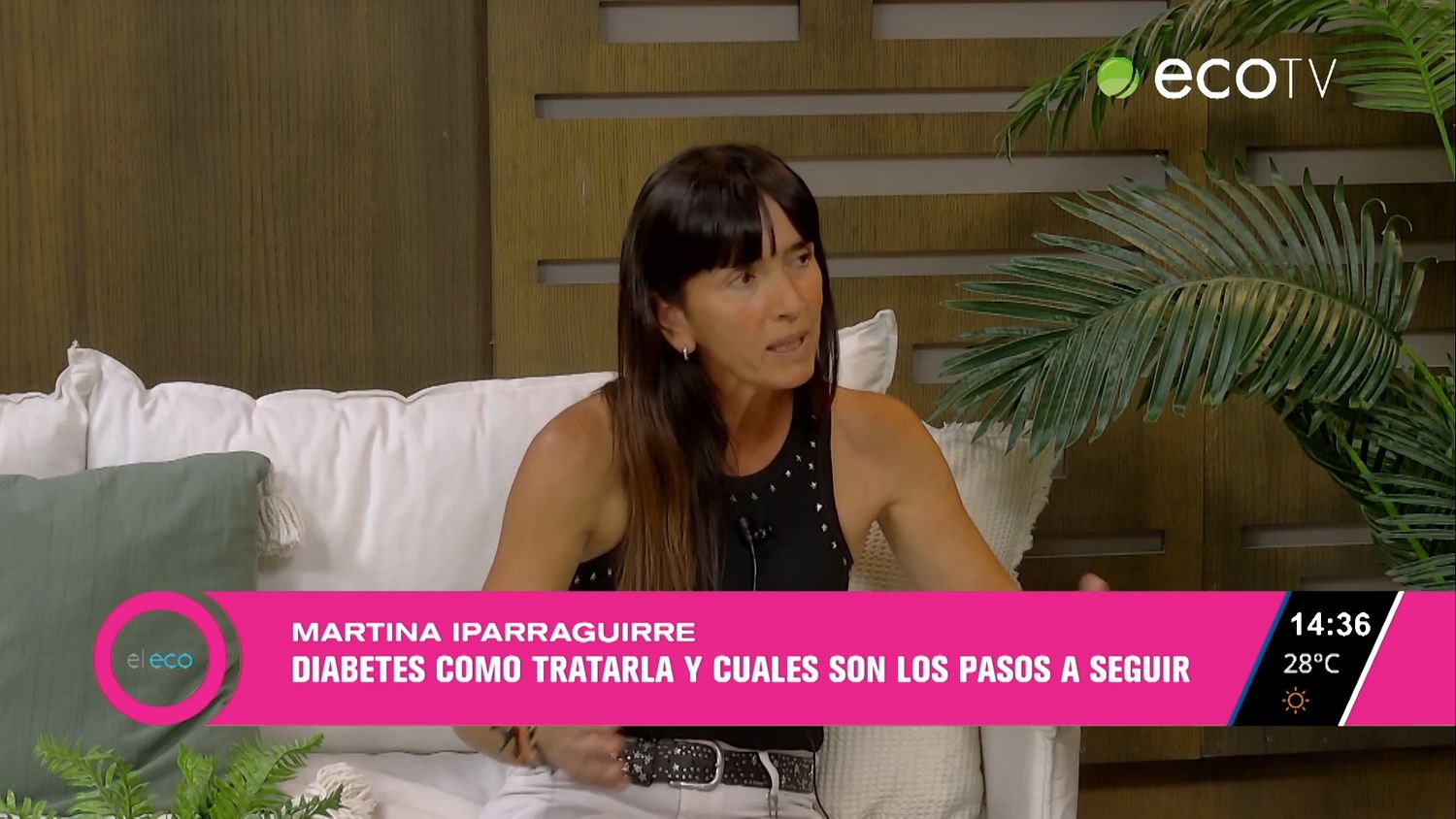 Diabetes: Correcaminata y consejos sobre cómo tratarla
