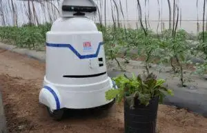 El campo artificial e inteligente