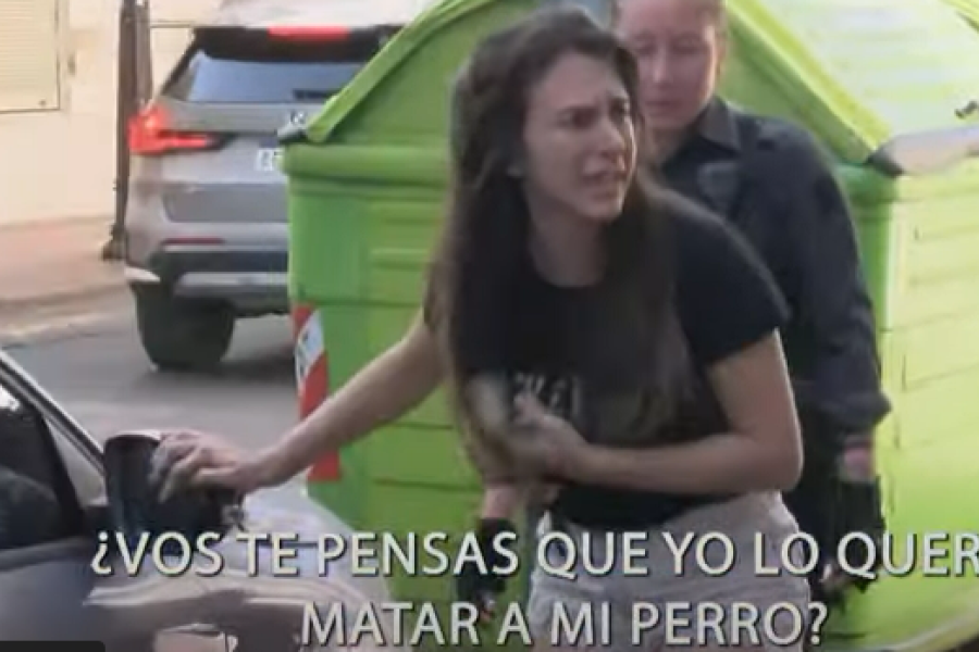 ¿Qué hacer si veo un perro encerrado en un auto como el que murió en Rosario?