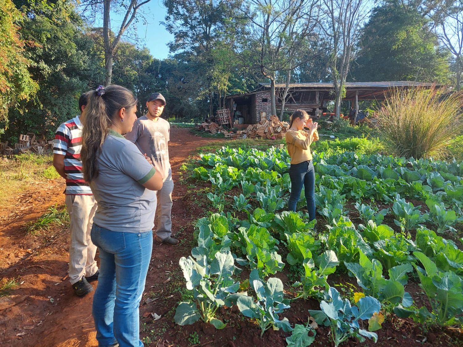 Gobernador Roca: Formación profesional en producción hortícola